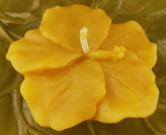 Hibiscus Candle ~100% pure beeswax