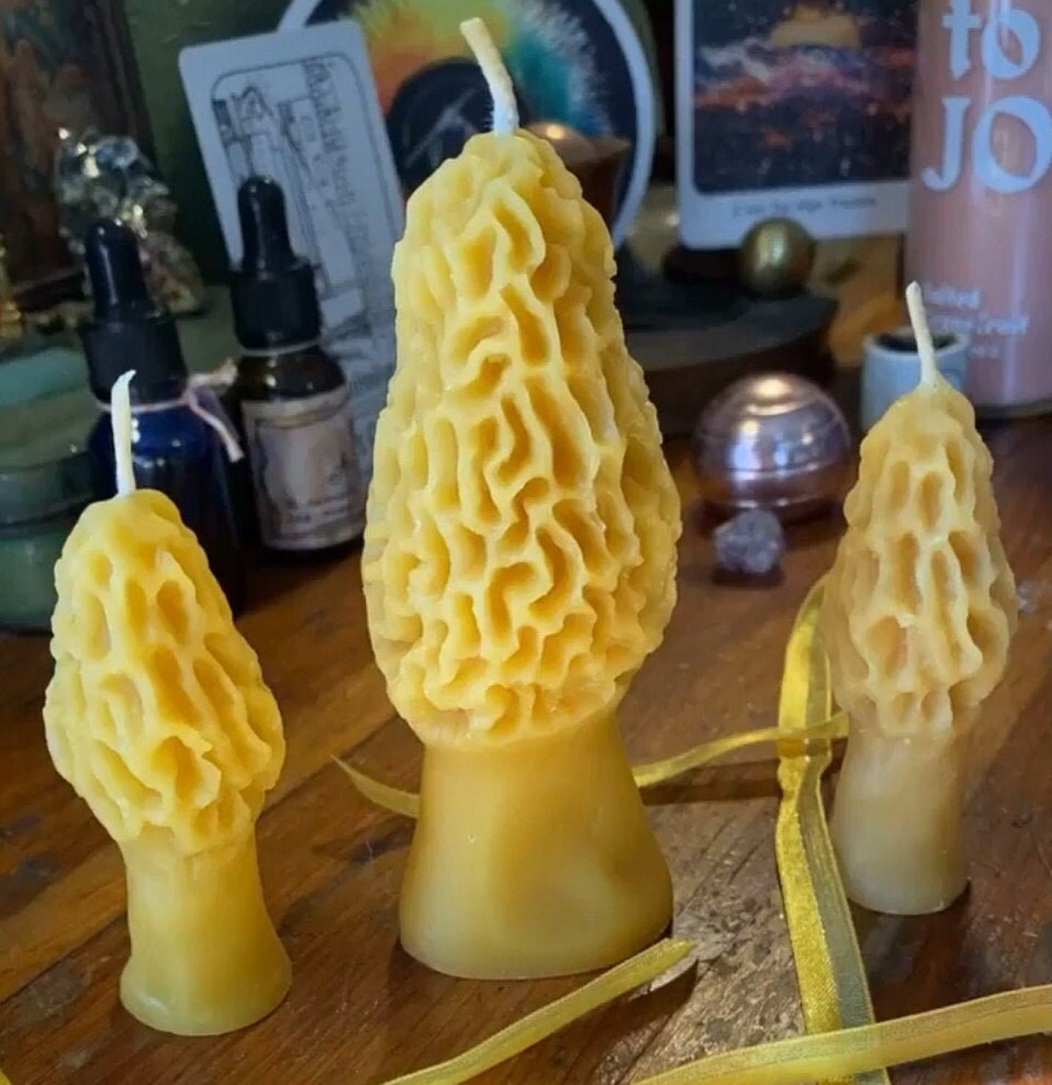 Morel Mushroom Candle Pillars ~100% pure beeswax