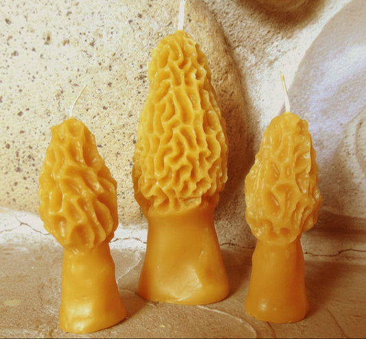 Morel Mushroom Candle Pillars ~100% pure beeswax