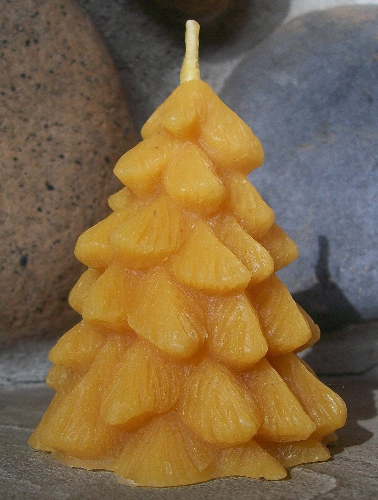 Fir Tree Candle ~100% pure beeswax